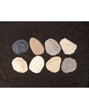 Let's Investigate Tactile Stones - Fossils