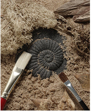 Let's Investigate Tactile Stones - Fossils