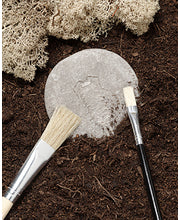 Let's Investigate Tactile Stones - Bugs