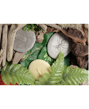 Let's Investigate Tactile Stones - Bugs