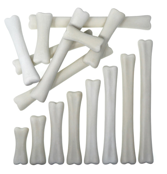 Dinosaur Bones Match & Measure set