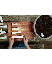 Dinosaur Bones Match and Measure Activity Cards