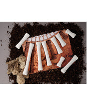 Dinosaur Bones Match and Measure Activity Cards