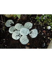 Let's Investigate Tactile Stones - Woodland Footprints