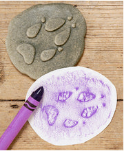 Let's Investigate Tactile Stones - Woodland Footprints