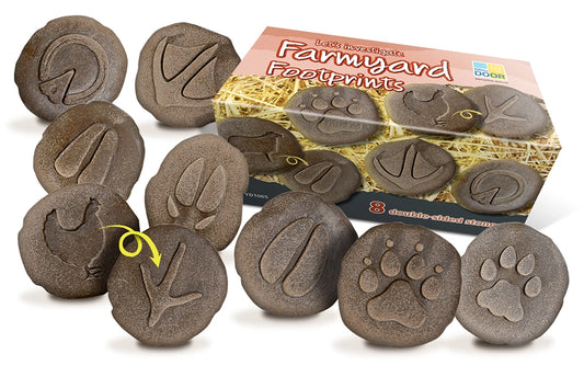 Let's Investigate Tactile Stones- Farmyard Footprints
