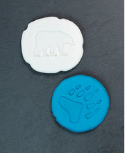 Let's Investigate Tactile Stones -Polar Footprints