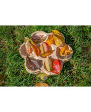 Natural Flower Tray (6 section)