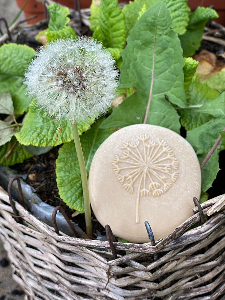 Let's Investigate Tactile Stones - Nature