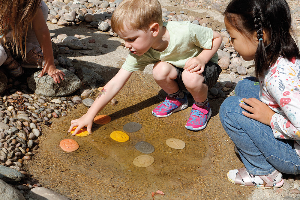 Let's Investigate Tactile Stones - Seashore