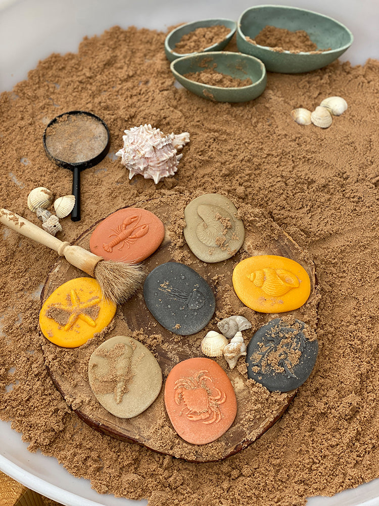 Let's Investigate Tactile Stones - Seashore