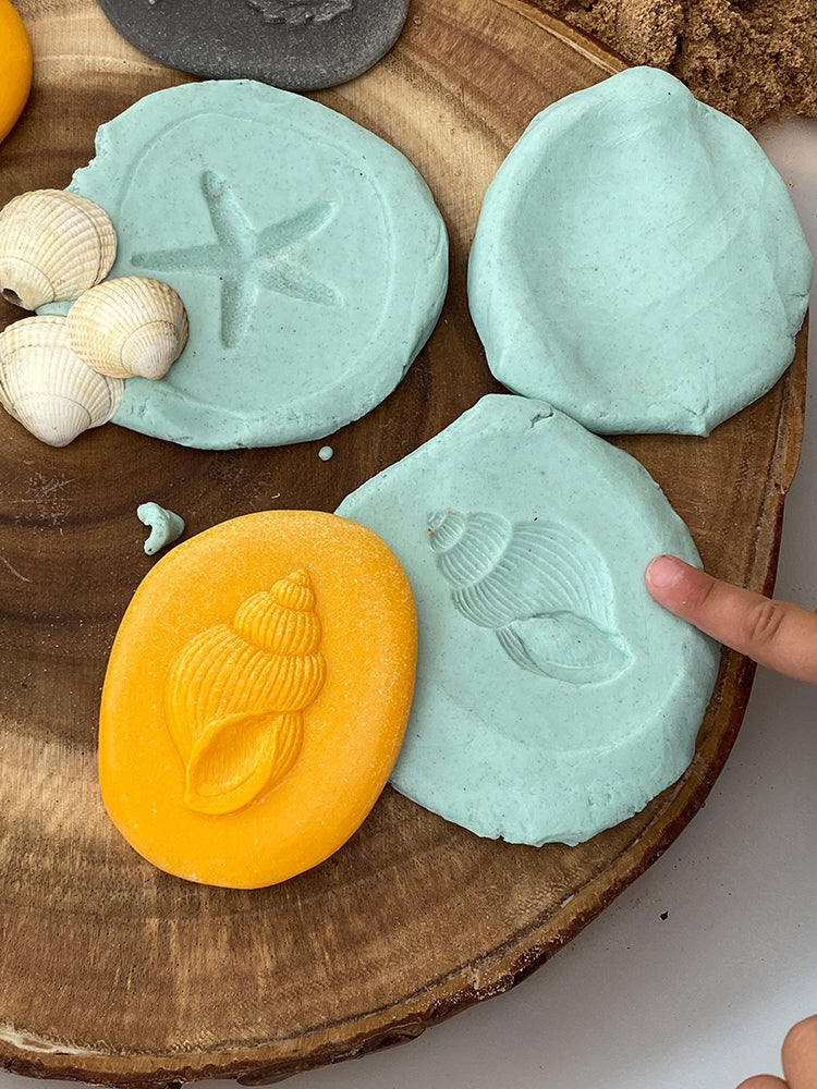 Let's Investigate Tactile Stones - Seashore