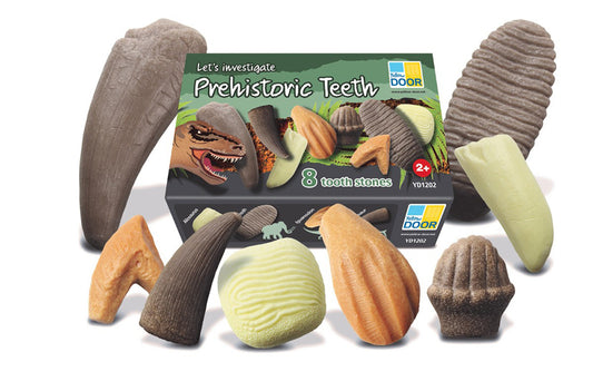 Let's Investigate - Prehistoric Teeth