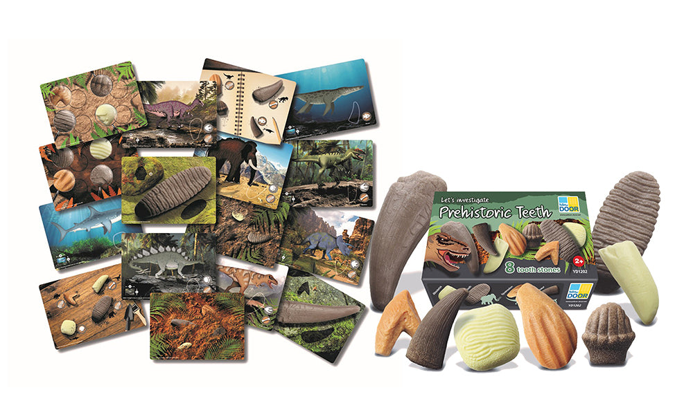 Prehistoric Teeth - Explore and Discover Activity Cards