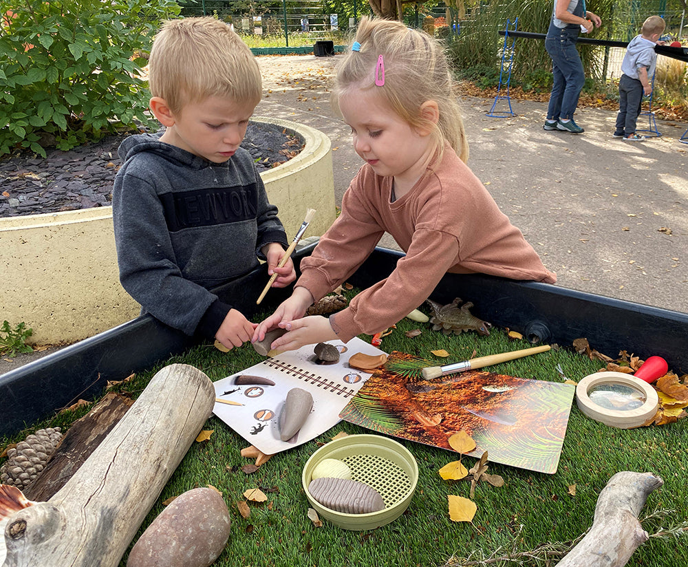 Prehistoric Teeth - Explore and Discover Activity Cards