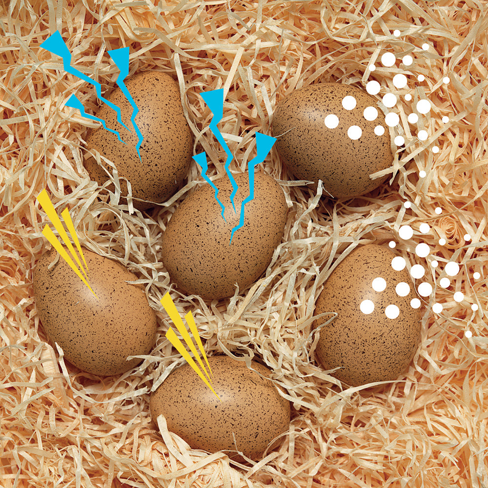 Sensory Sound Eggs - 6pk