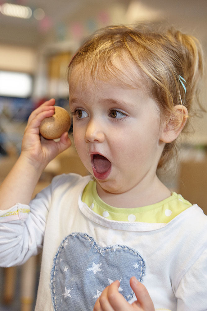 Sensory Sound Eggs - 6pk