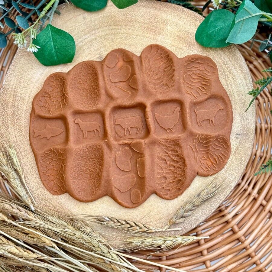 Roll Around Sensory Stones - Farm Animals ETA 15/9