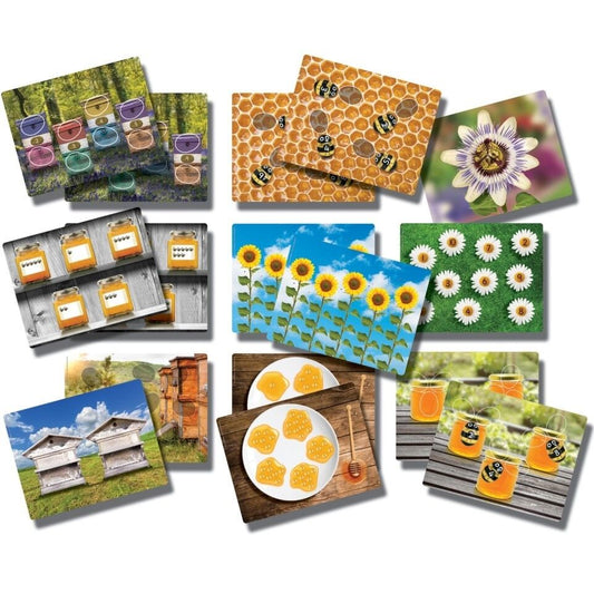 Honey Bee Early Number Cards