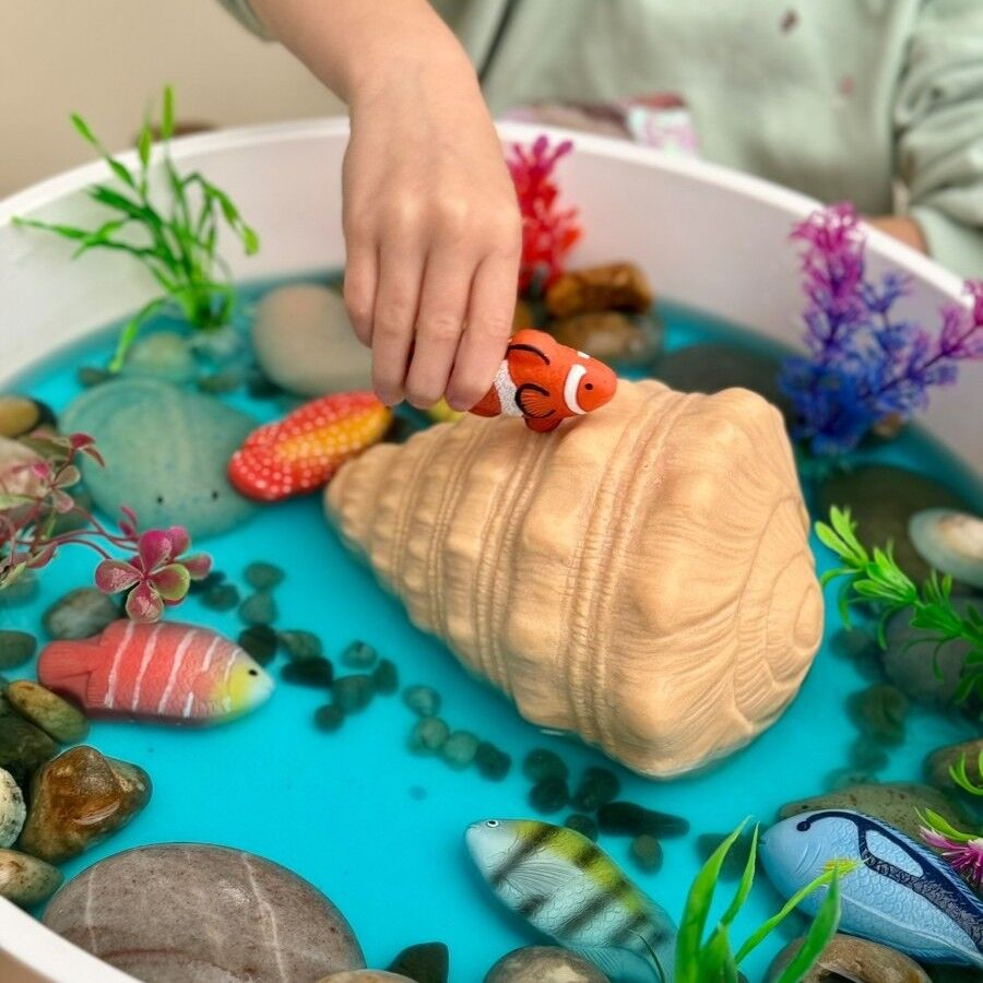 Imaginative Play Shell