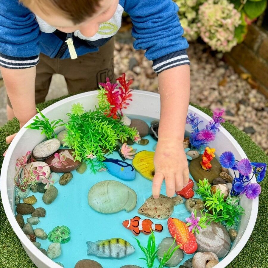 Sensory Play Stones - Fish ETA 19/09