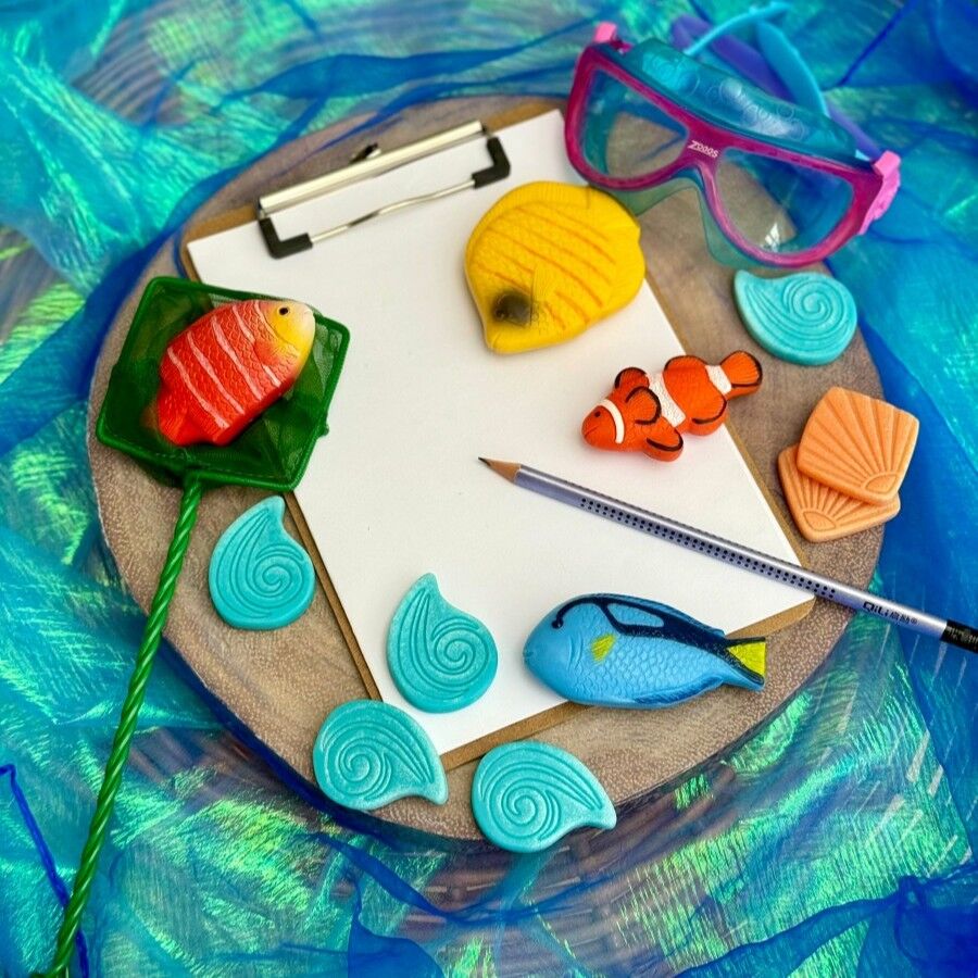 Sensory Play Stones - Fish ETA 19/09