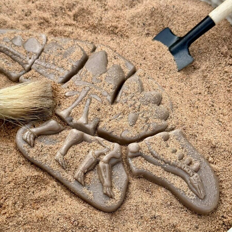 Dig and Discover - Pliosaur & Stegosaurus ETA 19/09