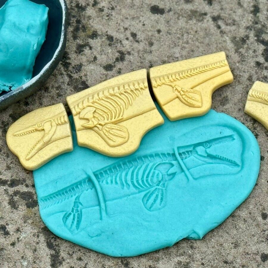 Dig and Discover - Pliosaur & Stegosaurus ETA 19/09