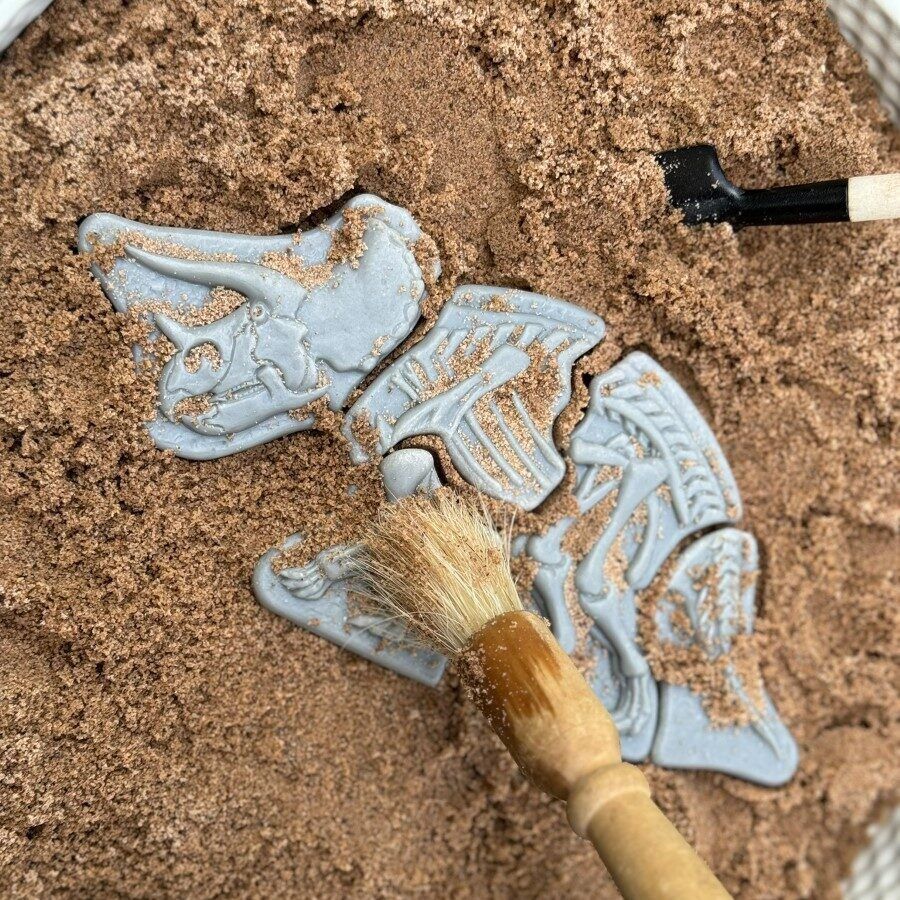 Dig and Discover - Triceratops & Spinosaurus ETA 19/09
