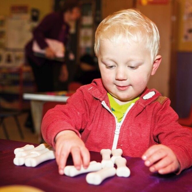 Dinosaur Bones Discovery - Set of 12