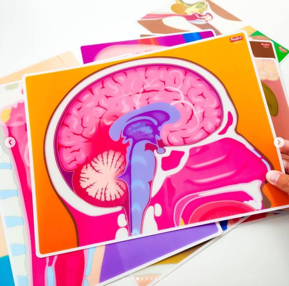 My Body In Action - 10pcs