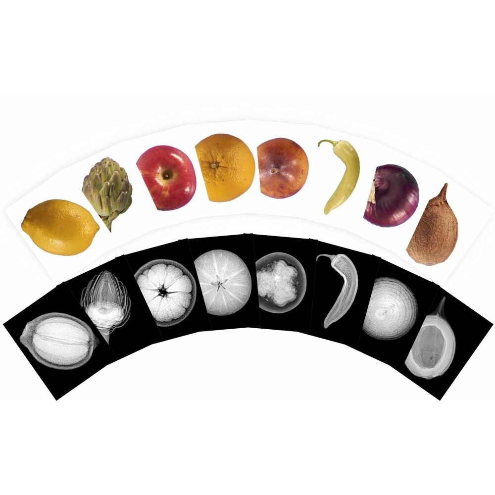 Plant X-Rays - 84pcs