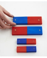 Shaw Plastic Cased Two Tone Magnets - 2pk