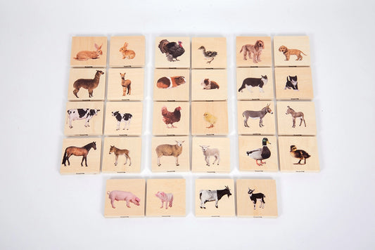 Domestic Animal Family Match - 28pcs