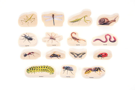 Wooden Minibeasts - 15pcs