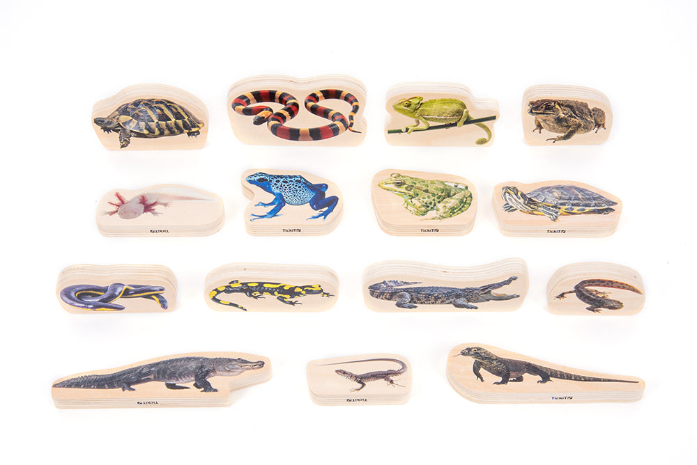Wooden Reptile & Amphibian Blocks - 15pcs
