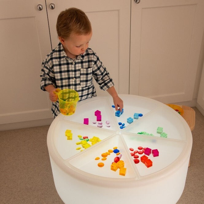 Discovery Trays - 6pk