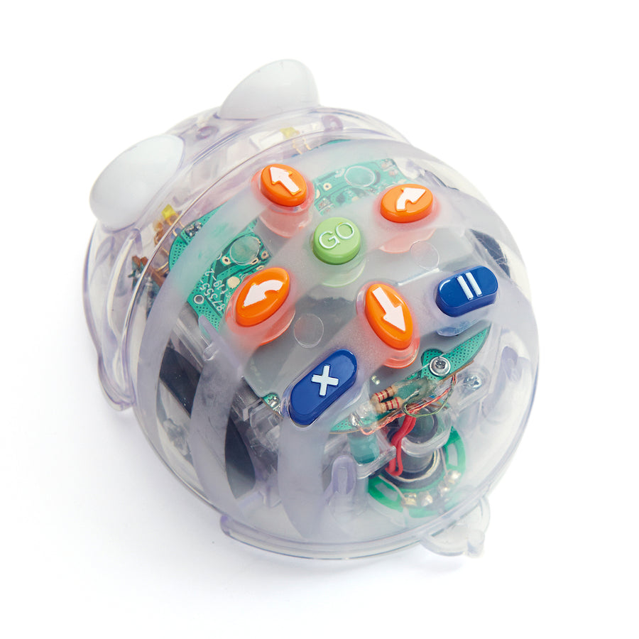 Blue-Bot Programmable Floor Robot - Set of 6