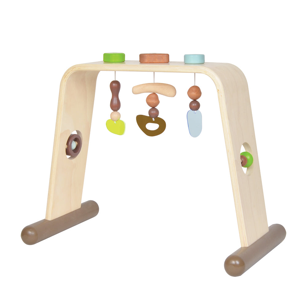 Blue Ribbon Baby Gym