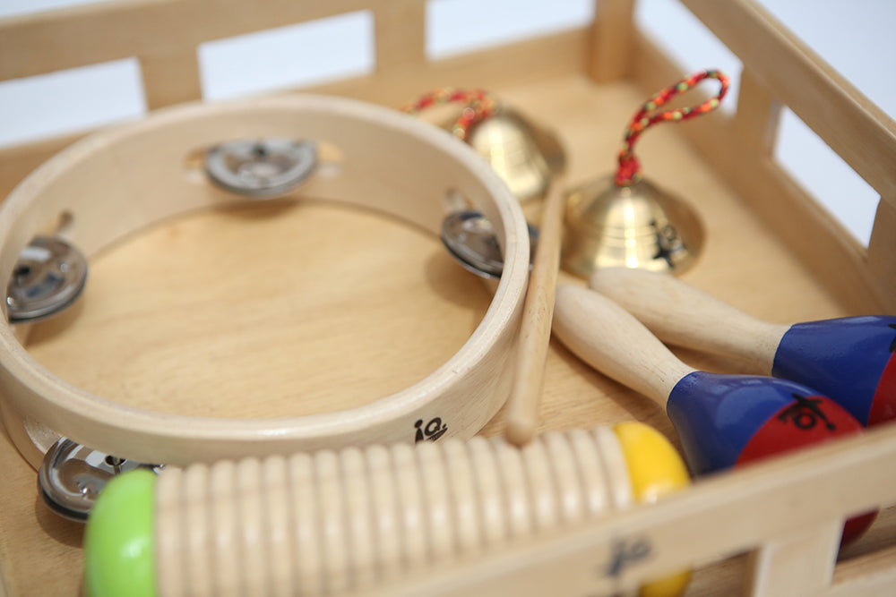 IQ Plus Music Set in Wooden Tray