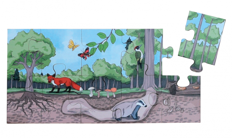 Discover the Forest Floor Puzzle