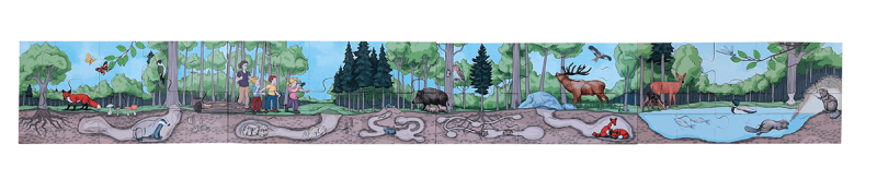 Discover the Forest Floor Puzzle