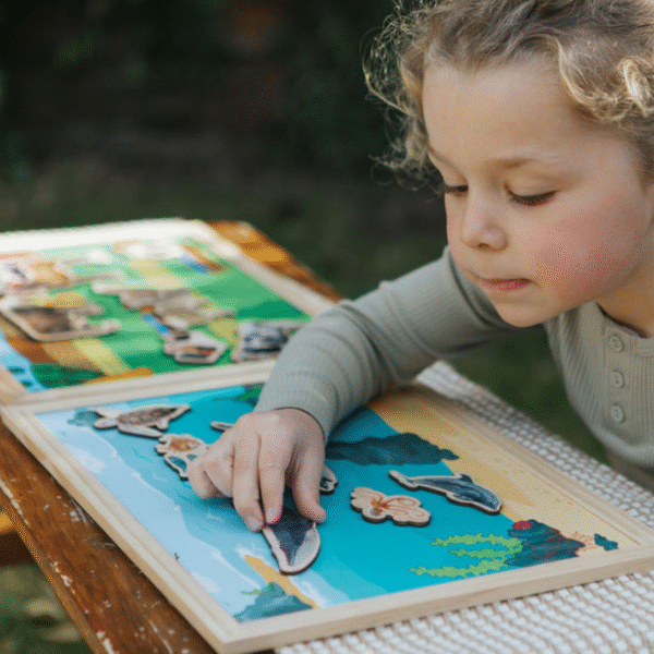 Freckled Frog- Homes Of The Wild