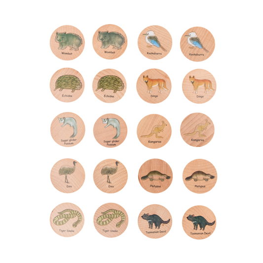 Freckled Frog- Australian Animals Matching Pairs
