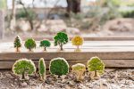 Happy Architect-Australian Wooden Trees