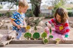 Happy Architect-Australian Wooden Trees
