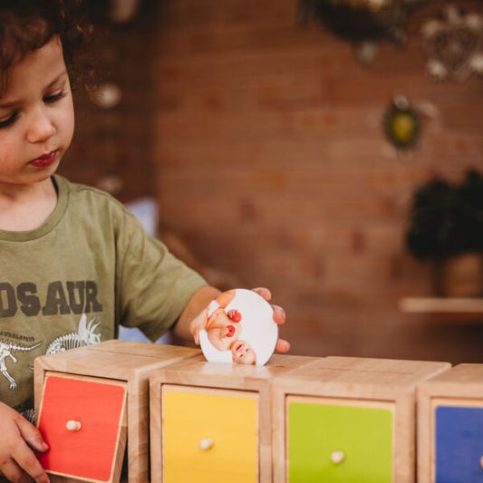 Happy Architect-Sorting Emotions
