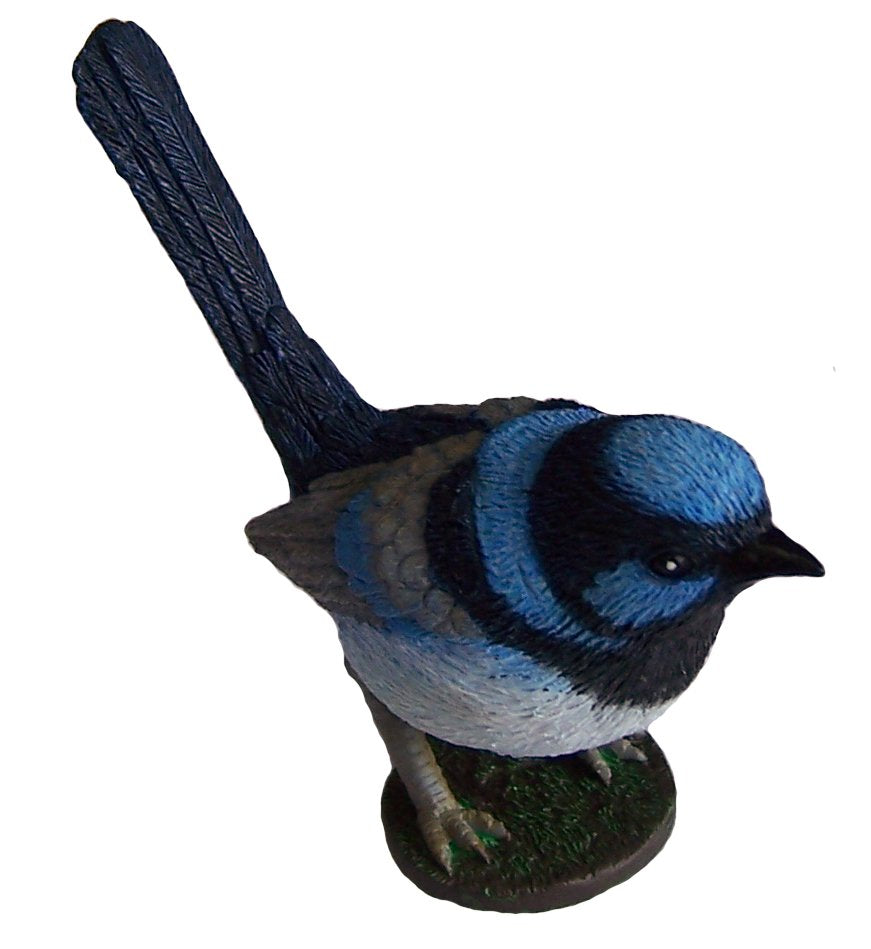 Australian Bird-Blue Wren