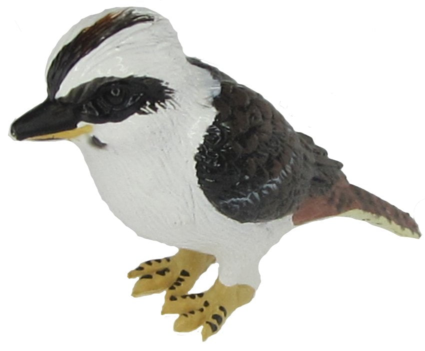 Australian Bird-Kookaburra