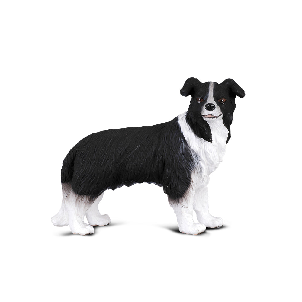 CollectA -Border Collie